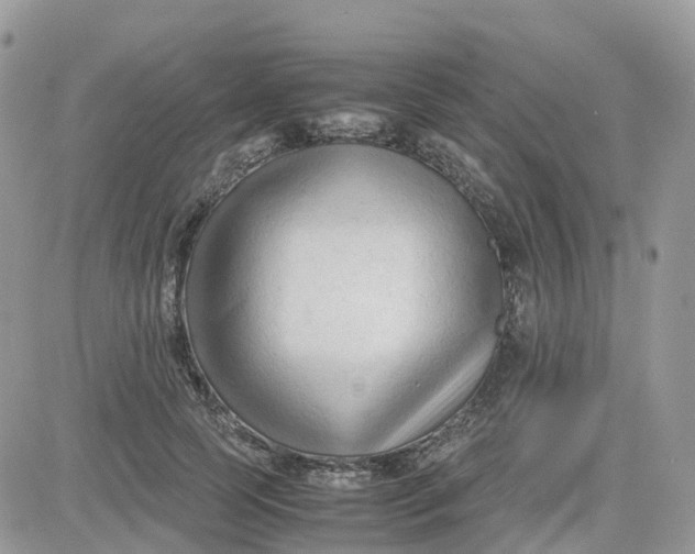 X0000081570745200701291214