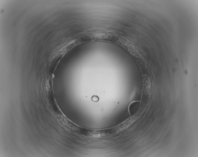 X0000081570746200701291214