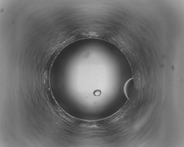 X0000081570747200701291214