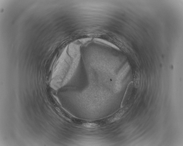 X0000081570748200701291214