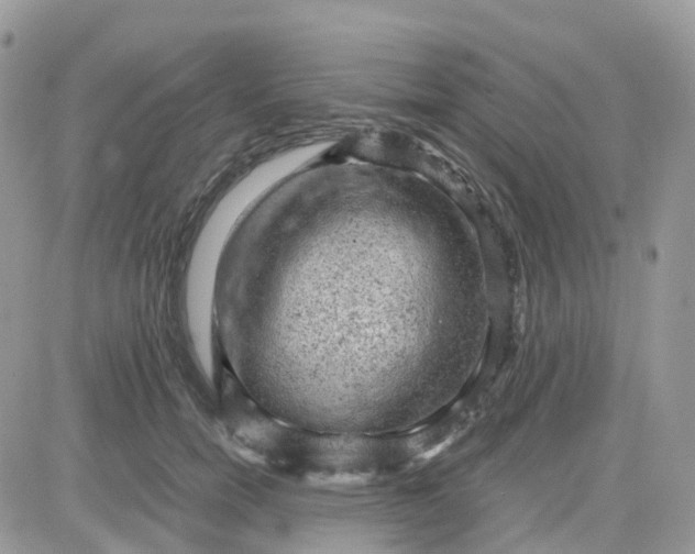 X0000081570750200701291214