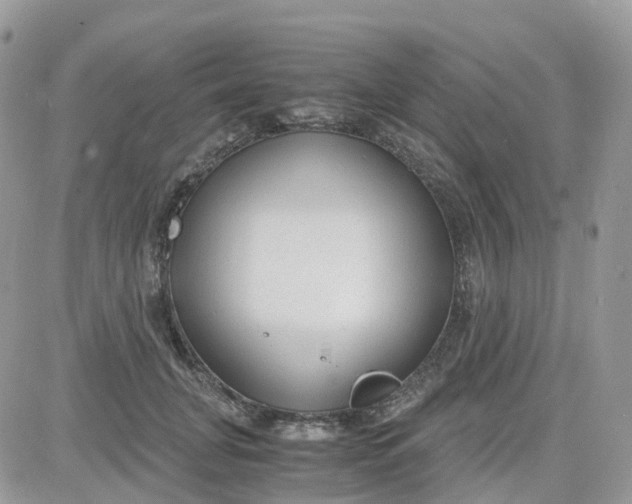 X0000081570751200701291214