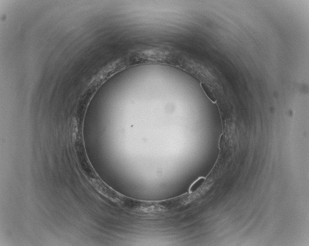 X0000081570752200701291214