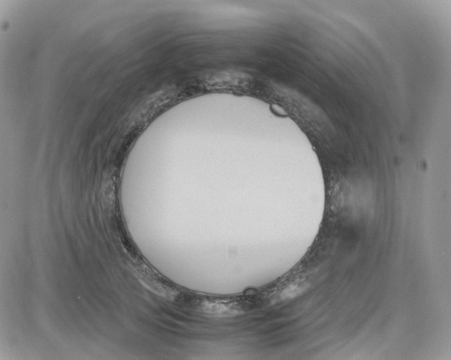 X0000081570753200701291214