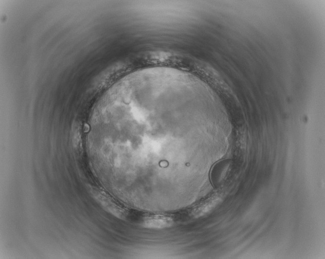 X0000081570754200701291214