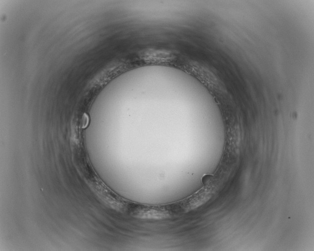 X0000081570755200701291214