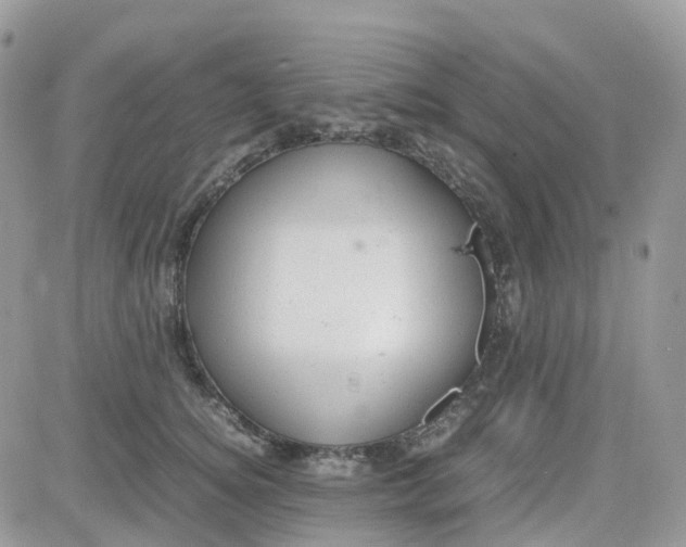 X0000081570756200701291214