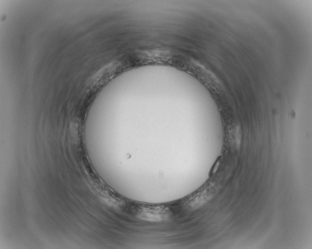 X0000081570757200701291214