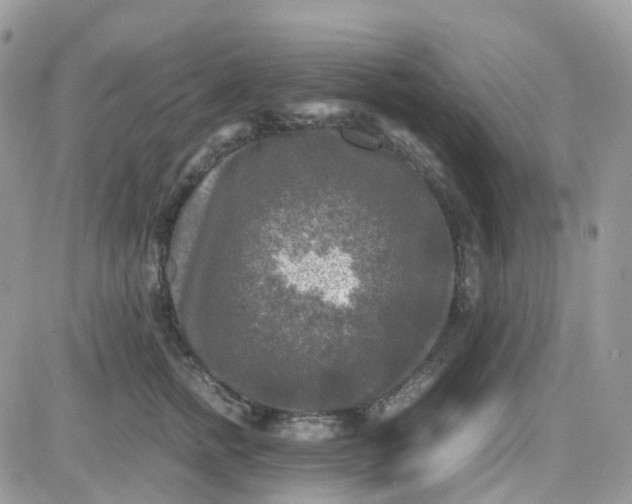 X0000081570758200701291215