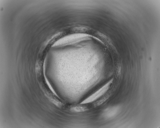 X0000081570759200701291215