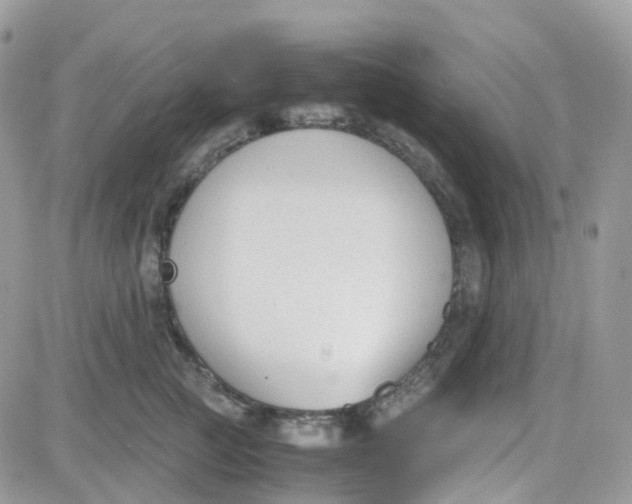 X0000081570761200701291215