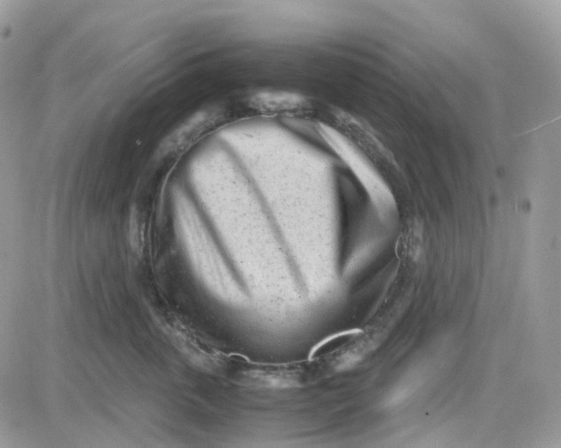 X0000081570763200701291215