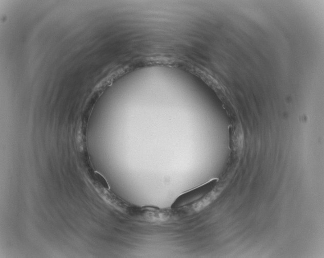 X0000081570764200701291215