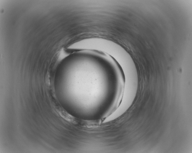 X0000081570766200701291215