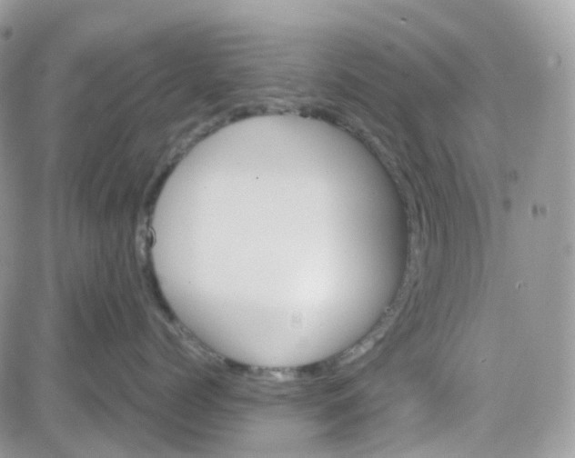 X0000081570768200701291215