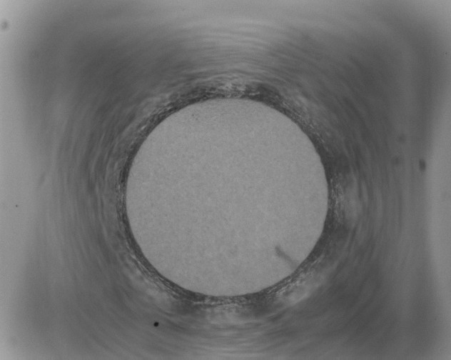 X0000081570769200701291214