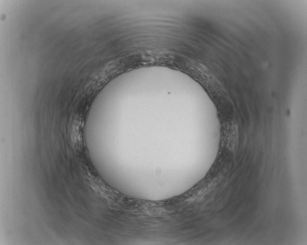 X0000081570770200701291214