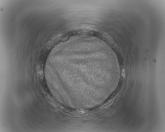 X0000081570771200701291214