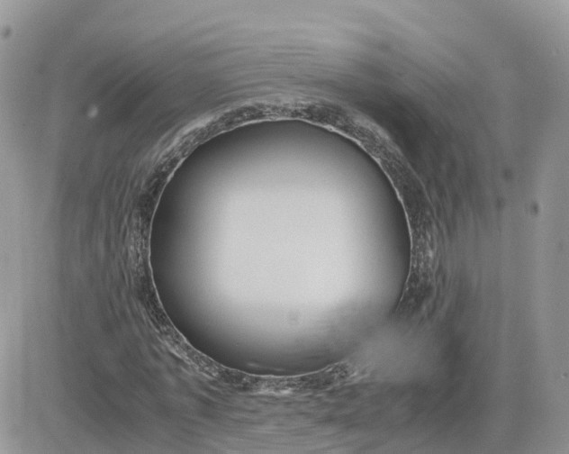 X0000081570773200701291214