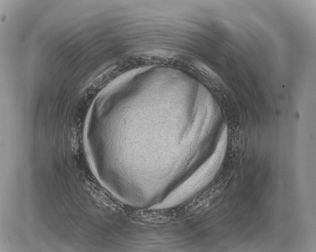 X0000081570774200701291214