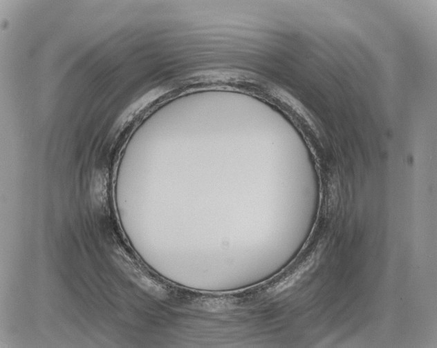 X0000081570778200701291214