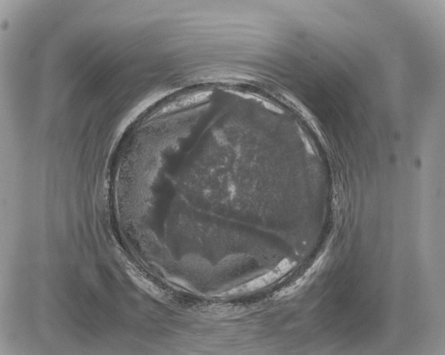 X0000081570779200701291214