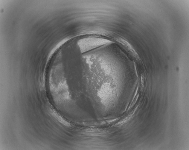 X0000081570780200701291214