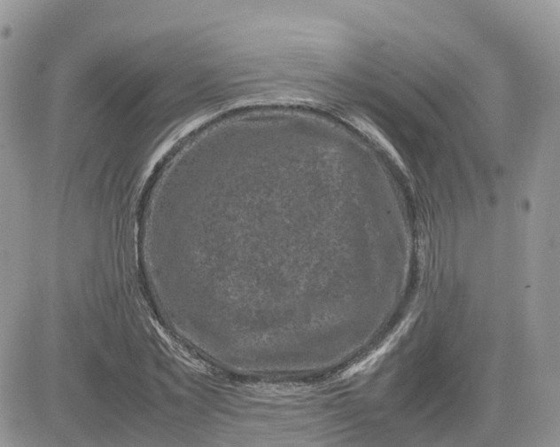 X0000081570781200701291214