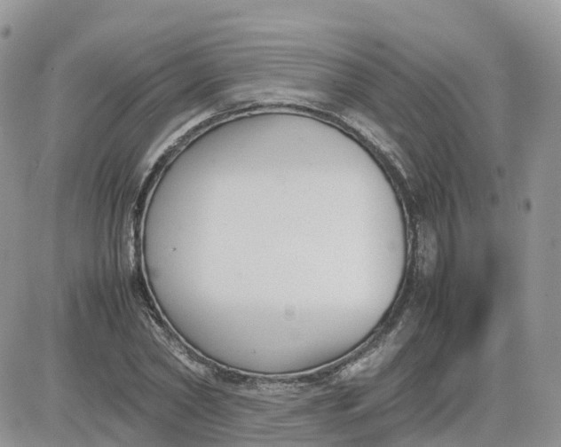 X0000081570782200701291214