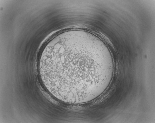 X0000081570784200701291214