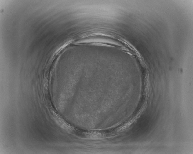 X0000081570785200701291214