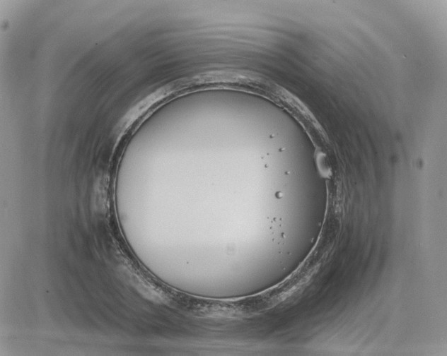 X0000081570786200701291214