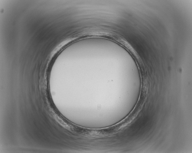 X0000081570787200701291214