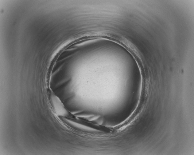 X0000081570789200701291214