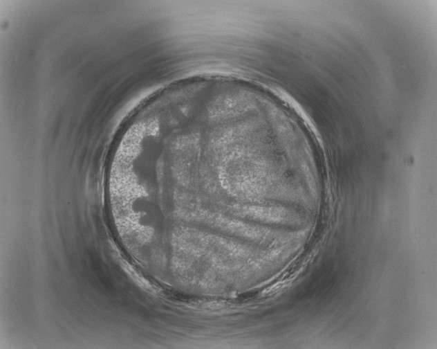 X0000081570791200701291214