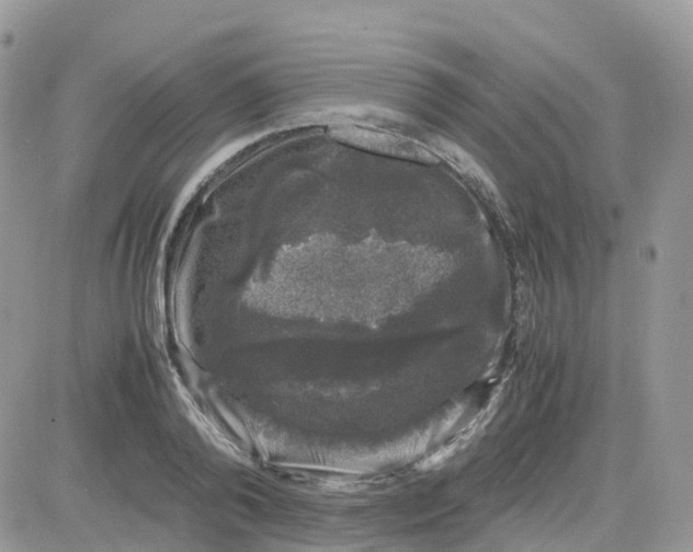 X0000081570792200701291214