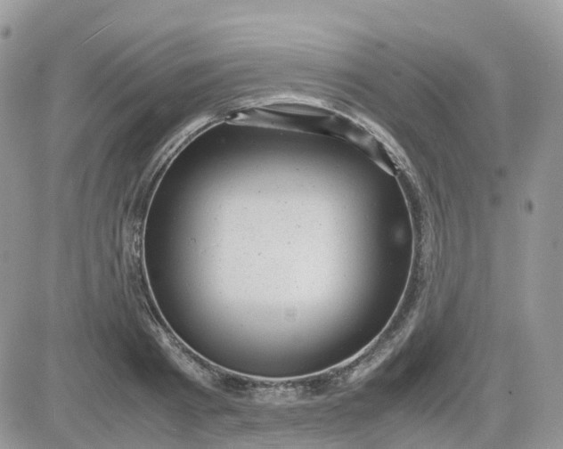 X0000081570793200701291213