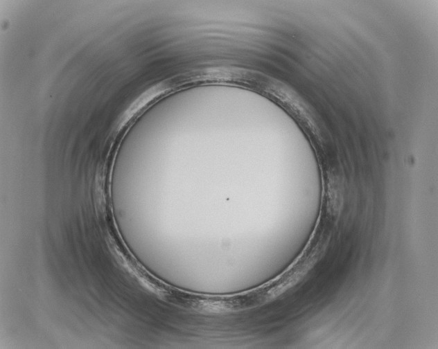 X0000081570794200701291213