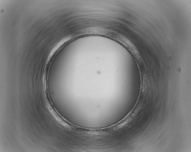 X0000081570796200701291213