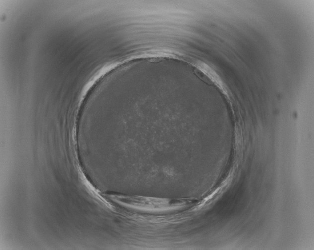 X0000081570797200701291213