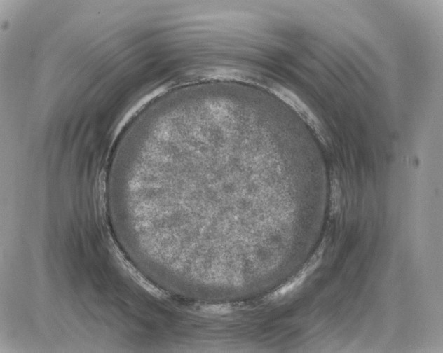 X0000081570798200701291213