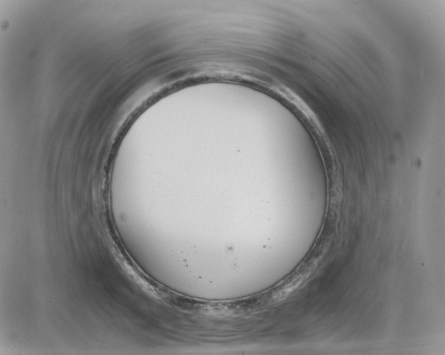 X0000081570799200701291213