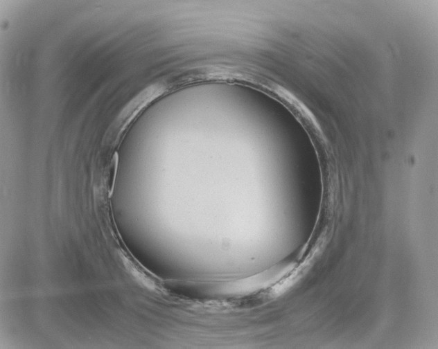 X0000081570801200701291213