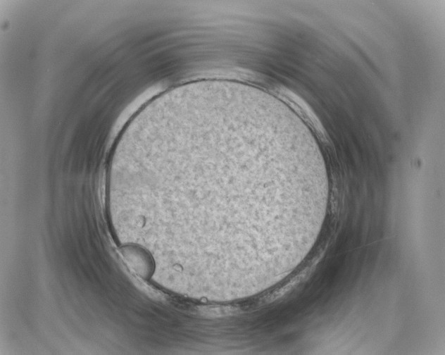 X0000081570804200701291213