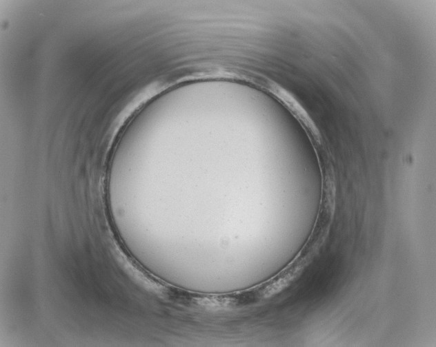 X0000081570805200701291213