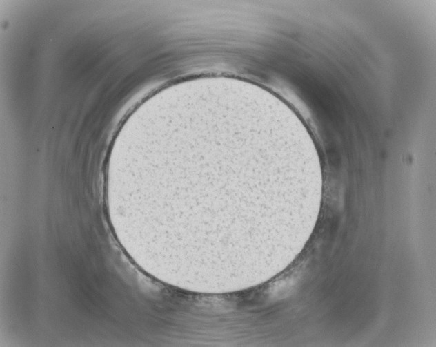 X0000081570807200701291213