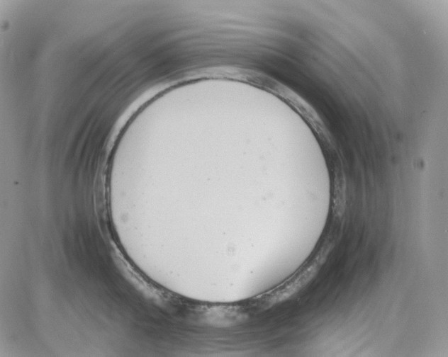 X0000081570808200701291213