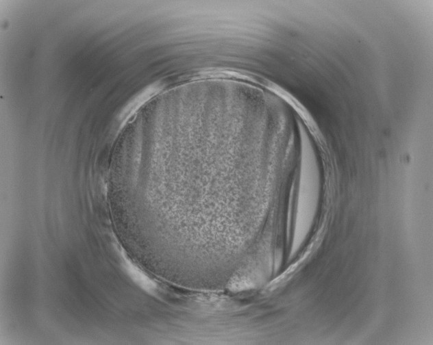 X0000081570809200701291213