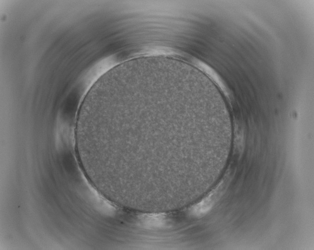 X0000081570810200701291213