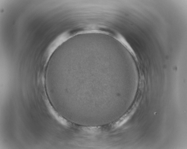 X0000081570813200701291213